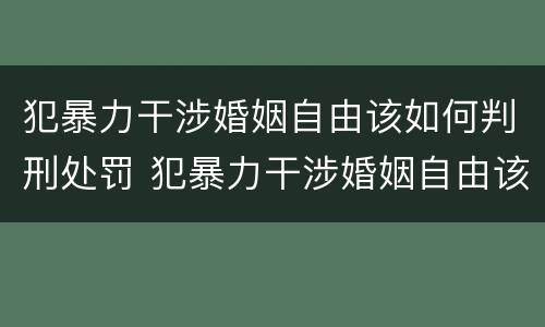 犯暴力干涉婚姻自由该如何判刑处罚 犯暴力干涉婚姻自由该如何判刑处罚
