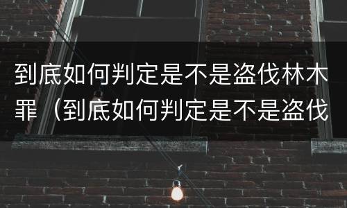 到底如何判定是不是盗伐林木罪（到底如何判定是不是盗伐林木罪呢）