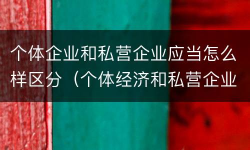 个体企业和私营企业应当怎么样区分（个体经济和私营企业的区别）