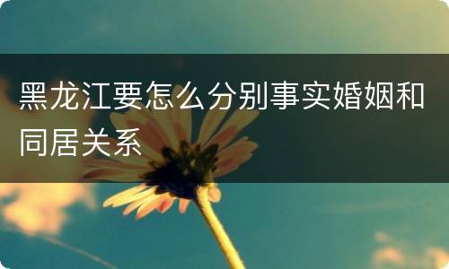 黑龙江要怎么分别事实婚姻和同居关系