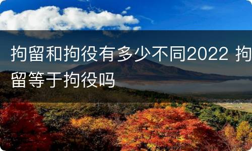 拘留和拘役有多少不同2022 拘留等于拘役吗