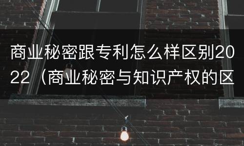 商业秘密跟专利怎么样区别2022（商业秘密与知识产权的区别）