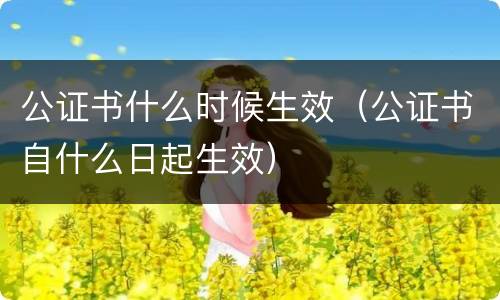 公证书什么时候生效（公证书自什么日起生效）
