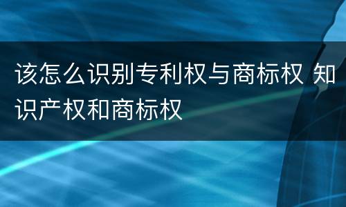 该怎么识别专利权与商标权 知识产权和商标权