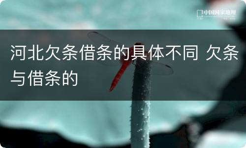 河北欠条借条的具体不同 欠条与借条的