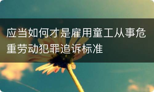 应当如何才是雇用童工从事危重劳动犯罪追诉标准