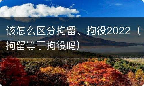 该怎么区分拘留、拘役2022（拘留等于拘役吗）