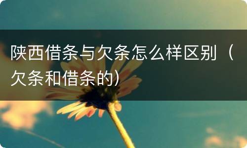 陕西借条与欠条怎么样区别（欠条和借条的）