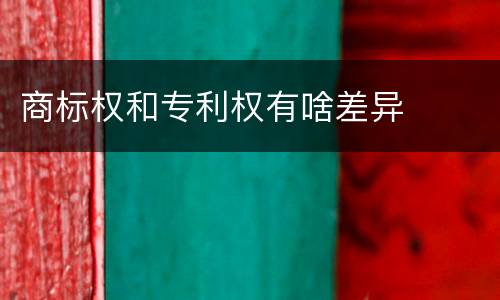 商标权和专利权有啥差异