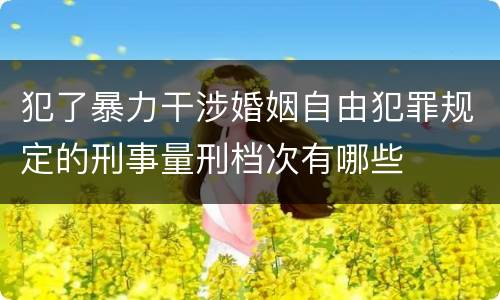 犯了暴力干涉婚姻自由犯罪规定的刑事量刑档次有哪些