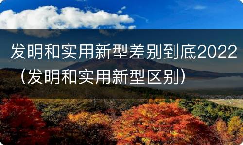 发明和实用新型差别到底2022（发明和实用新型区别）