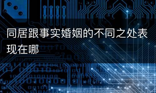 同居跟事实婚姻的不同之处表现在哪