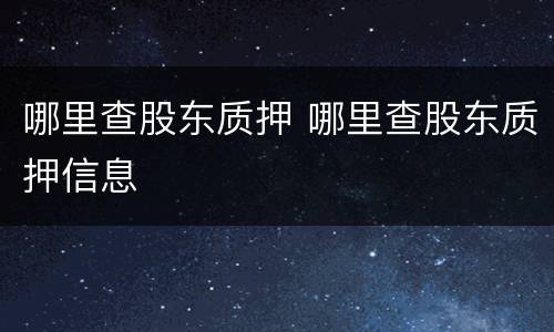 哪里查股东质押 哪里查股东质押信息