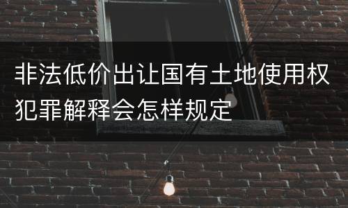 非法低价出让国有土地使用权犯罪解释会怎样规定