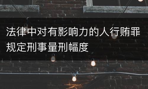 法律中对有影响力的人行贿罪规定刑事量刑幅度