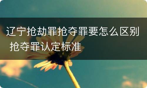 辽宁抢劫罪抢夺罪要怎么区别 抢夺罪认定标准