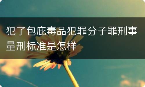 犯了包庇毒品犯罪分子罪刑事量刑标准是怎样