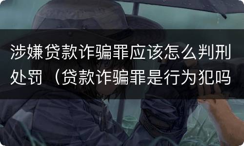 涉嫌贷款诈骗罪应该怎么判刑处罚（贷款诈骗罪是行为犯吗）