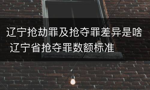 辽宁抢劫罪及抢夺罪差异是啥 辽宁省抢夺罪数额标准
