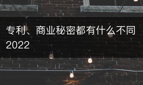 专利、商业秘密都有什么不同2022