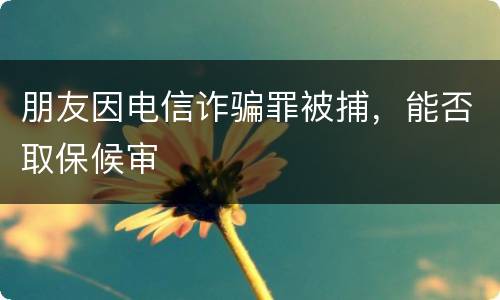 朋友因电信诈骗罪被捕，能否取保候审