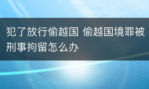 犯了放行偷越国 偷越国境罪被刑事拘留怎么办