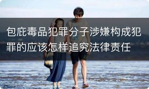 包庇毒品犯罪分子涉嫌构成犯罪的应该怎样追究法律责任