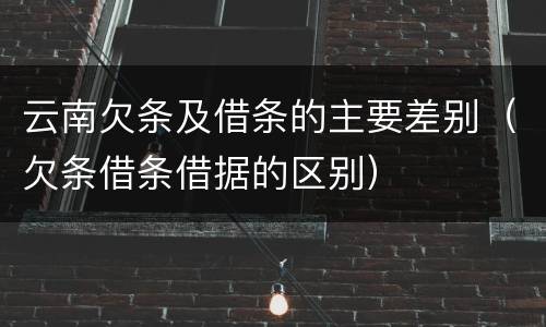 云南欠条及借条的主要差别（欠条借条借据的区别）