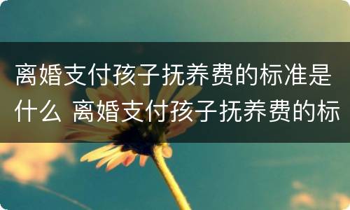 离婚支付孩子抚养费的标准是什么 离婚支付孩子抚养费的标准是什么意思