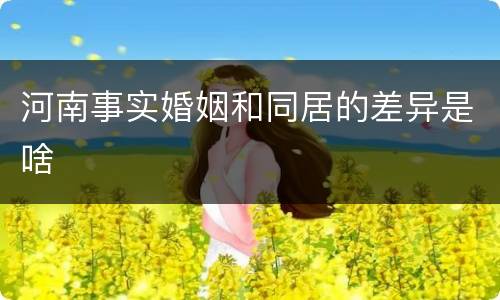 河南事实婚姻和同居的差异是啥