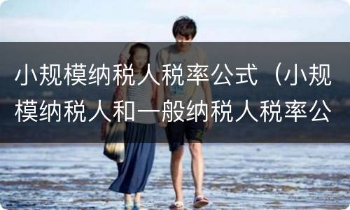 小规模纳税人税率公式（小规模纳税人和一般纳税人税率公式）