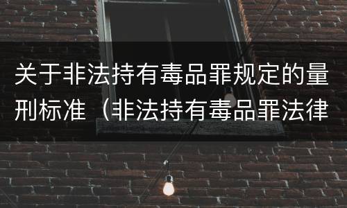 关于非法持有毒品罪规定的量刑标准（非法持有毒品罪法律条款）