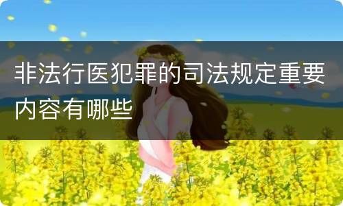 非法行医犯罪的司法规定重要内容有哪些