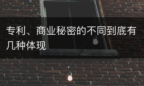 专利、商业秘密的不同到底有几种体现