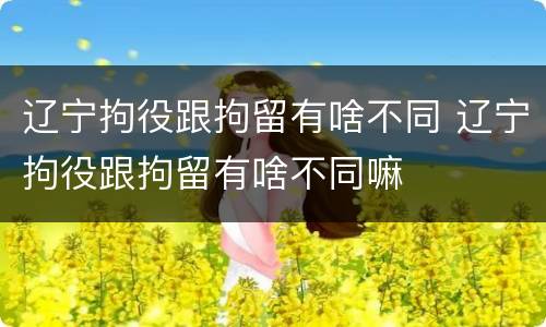 辽宁拘役跟拘留有啥不同 辽宁拘役跟拘留有啥不同嘛