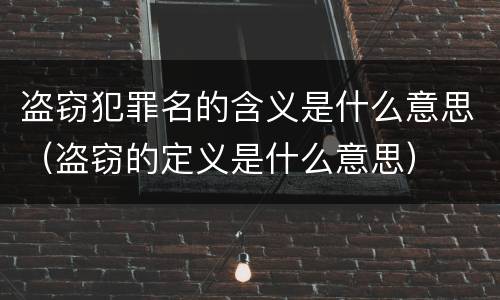 盗窃犯罪名的含义是什么意思（盗窃的定义是什么意思）