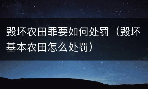 毁坏农田罪要如何处罚（毁坏基本农田怎么处罚）