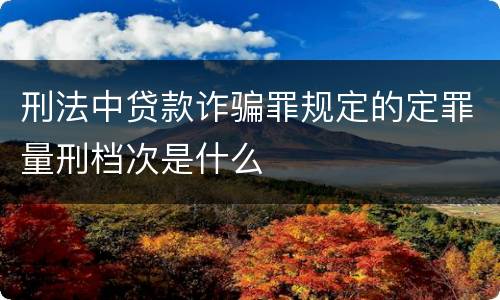 刑法中贷款诈骗罪规定的定罪量刑档次是什么