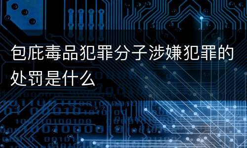 包庇毒品犯罪分子涉嫌犯罪的处罚是什么