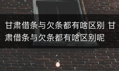 甘肃借条与欠条都有啥区别 甘肃借条与欠条都有啥区别呢