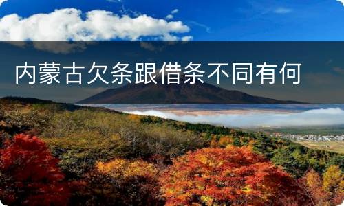 内蒙古欠条跟借条不同有何
