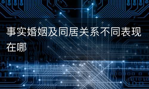 事实婚姻及同居关系不同表现在哪