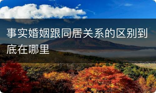 事实婚姻跟同居关系的区别到底在哪里