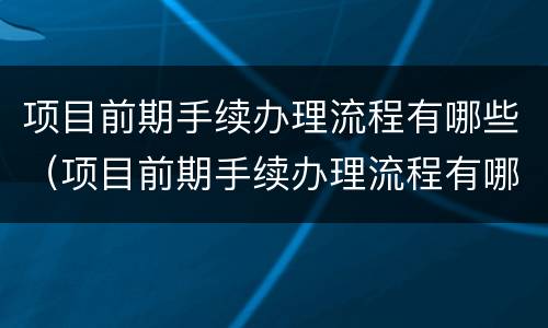 项目前期手续办理流程有哪些（项目前期手续办理流程有哪些要求）