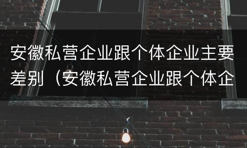 安徽私营企业跟个体企业主要差别（安徽私营企业跟个体企业主要差别在哪）