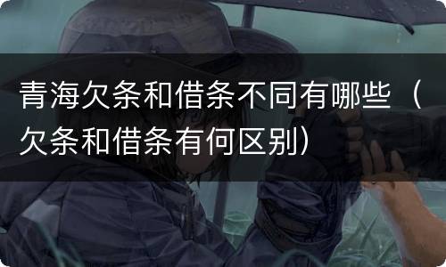 青海欠条和借条不同有哪些（欠条和借条有何区别）
