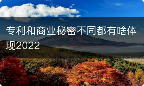 专利和商业秘密不同都有啥体现2022