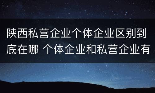 陕西私营企业个体企业区别到底在哪 个体企业和私营企业有哪些