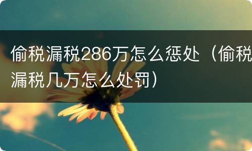 偷税漏税286万怎么惩处（偷税漏税几万怎么处罚）