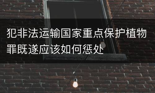 犯非法运输国家重点保护植物罪既遂应该如何惩处